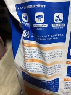 喂流浪猫性价比极高