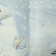 儿童绘本《松鼠先生和第一场雪》