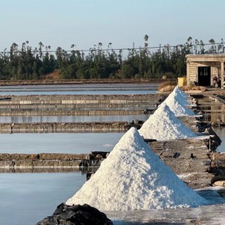 海盐厂:打造高品质天然海盐