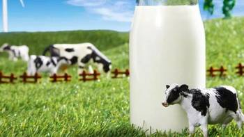 牛奶VS牛初乳，哪个对身体更好？