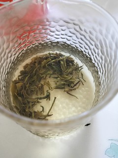 白兰茉莉绿茶，冬日暖心好茶