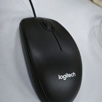罗技（Logitech）M100r有线鼠标