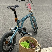 不懂就问，这个折叠自行车为什么如此贵？