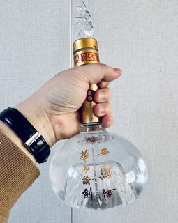 西凤酒华山论剑：口感醇厚，这酒可以！