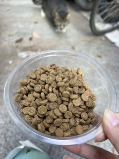 中奖得到的麦富迪BARF烘焙猫粮