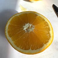 赣南脐橙精品果70-85MM赣州香甜橙子新鲜水果彩箱装