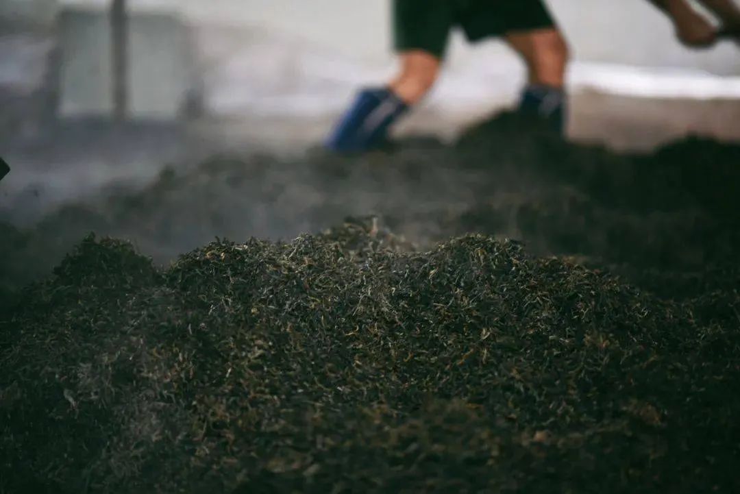 黑茶独有的“渥堆”工艺流程 ©图源网络