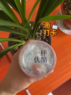 快来品尝白桃酸奶，富含益生菌，让你肠道更健康!