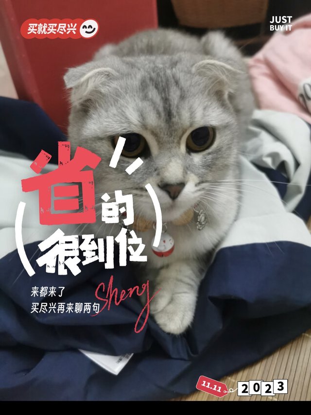 大猫日记猫项圈猫咪驱虫项圈