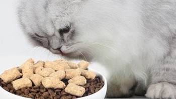麦富迪的barf霸弗全价低温烘焙猫粮：猫咪吃了有营养！