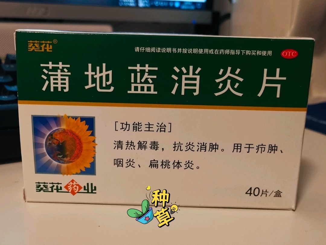 蒲地蓝消炎片元典图片