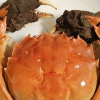 京东超值大闸蟹体验，口感鲜美，送礼必备！