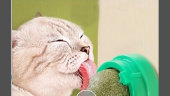 茨格曼猫薄荷球：猫咪自嗨神器，宠物逗趣必备!