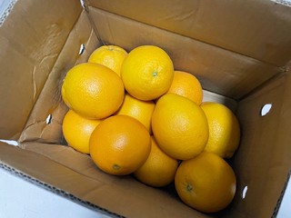 大又甜的橙子🍊