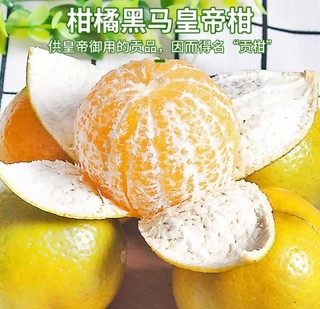 探味君广西皇帝柑当季时令橘桔子贡柑新鲜水果5斤中果(单果50-55mm）
