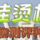 全网热门挂烫机推荐+全面终极实测：松下/大宇/宫菱/科西/摩飞/阿卡*九大品牌性能深度分析