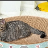 疯狂的主人猫抓板窝碗形大号猫抓盆：让猫咪爱上居家生活!