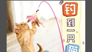 「憨憨乐园猫玩具逗猫棒羽毛钓鱼金属加长杆——猫咪们的乐园!」