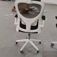 电脑椅子 篇一：升降电脑椅子靠背人体工学椅