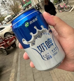 西域春新疆风味 奶啤整箱 300ml*12罐 聚会畅饮 乳酸菌饮料风味奶