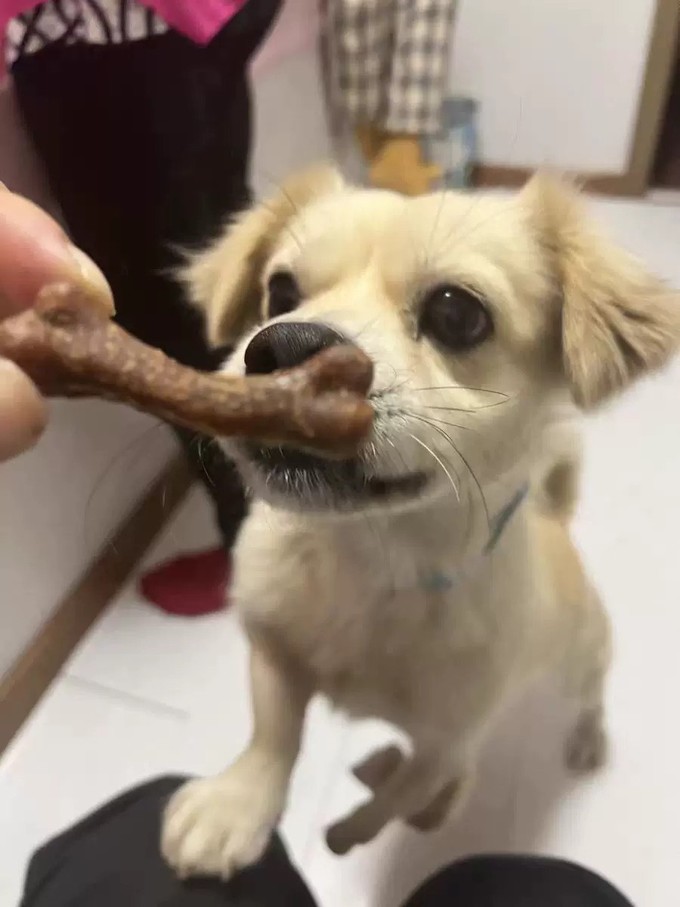 猫犬通用零食