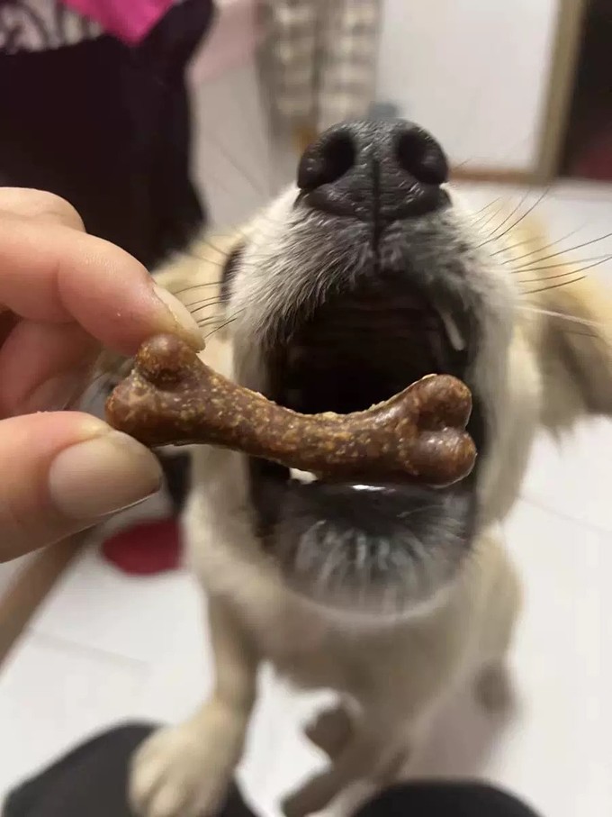 猫犬通用零食