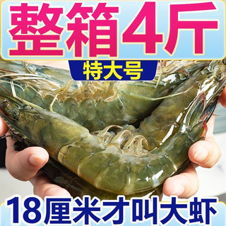 冰鲜虾，16—18cm