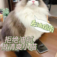 猫咪未到中年就变油腻？拒绝油腻小猫！