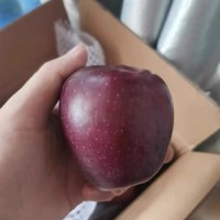 云南昭通黑卡苹果：当季罕见的水果珍品