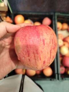 这个苹果真大！