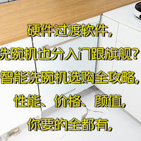 硬件过渡软件，洗碗机也分入门跟旗舰？智能洗碗机选购全攻略，性能、价格、颜值，你要的全都有