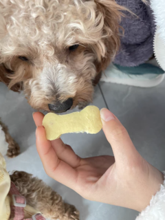 迈仕狗狗零食磨牙棒 它采用天然食材，不添加任何人工添加剂，可以放心给狗狗食用。