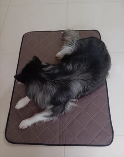 狗狗睡觉用宠物地垫