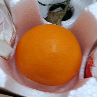 网购粑粑柑还是网购丑橘好吃？我觉得应该选粑粑柑。