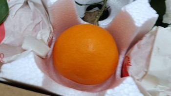 好吃的 篇二百六十四：网购粑粑柑还是网购丑橘好吃？我觉得应该选粑粑柑。