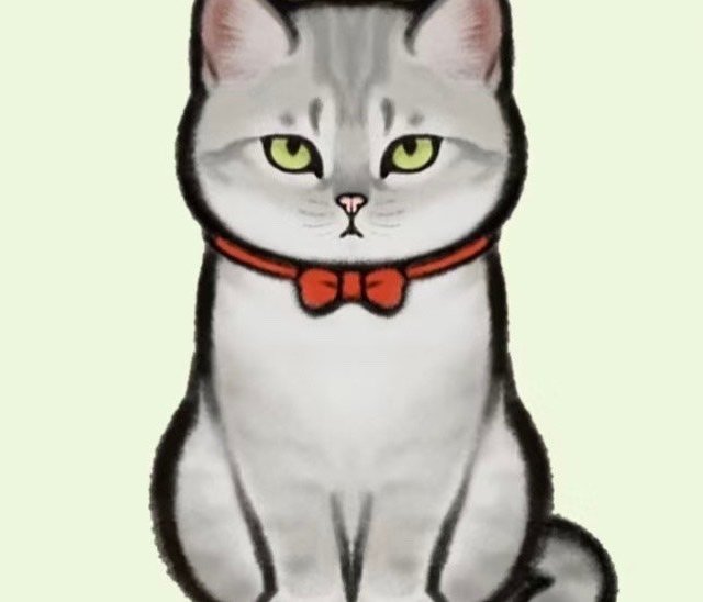 小猫咪过冬须知!