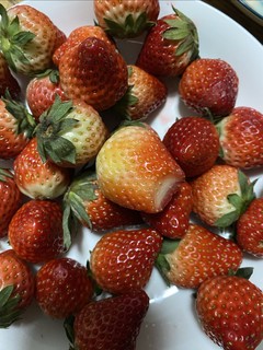 有到了一年一度吃草莓的季节了