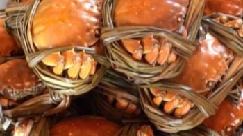 苏州市区哪家店吃蟹性价比高？