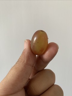克伦生葡萄第一次吃