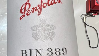 买一瓶奔富BIN389，确实只能一瓶一瓶买了，价格太贵了，想喝了就买一瓶，不想不买的奔富BIN389！