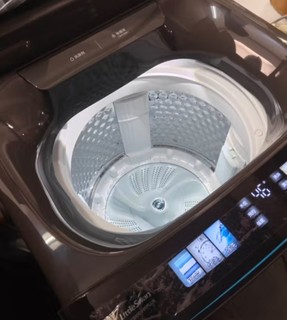 小天鹅（LittleSwan）波轮洗衣机全自动 小乌梅 水魔方防缠绕 超微净泡洗 直驱变频 炫彩大屏 10公斤