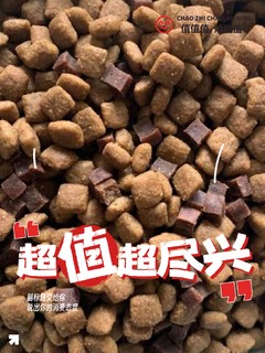 狗狗不挑食，口粮哪里便宜哪里买！