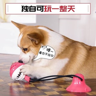 hoopet狗玩具 吸盘玩具A款（红蓝）【适合中大型犬】