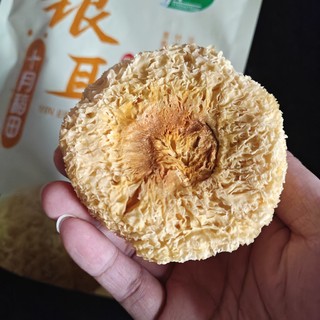 为什么这款银耳，发不大？