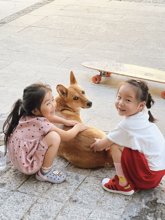 狗狗是人类最忠诚的朋友