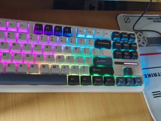 aula狼蛛f87pro87键三模机械键盘旷野绿洲灰木轴v4rgb