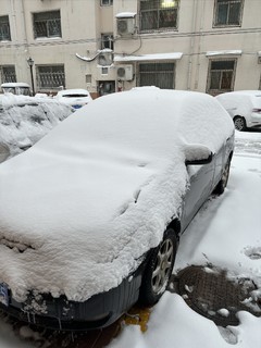 鹅毛大雪，一夜素装