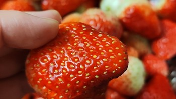 食品健康 篇二十五：“莓”好时光，你遇见了吗？