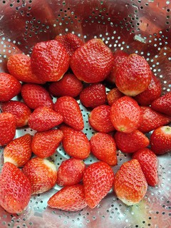 草莓上市季试水