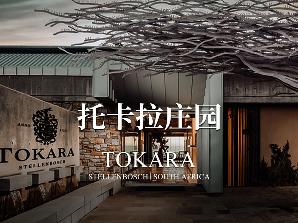 南非名庄——TOKARA酒庄